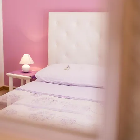 Apartment Zoran *